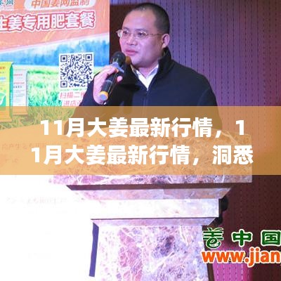 揭秘11月大姜最新行情，市場(chǎng)動(dòng)態(tài)與價(jià)格走勢(shì)一網(wǎng)打盡