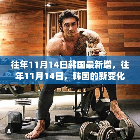 韓國(guó)成長(zhǎng)之路，歷年11月14日的新變化概覽