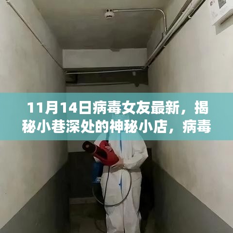 揭秘神秘小巷小店，病毒女友帶你探尋獨(dú)特風(fēng)情——11月14日最新報(bào)道