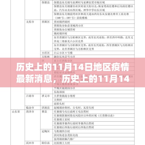 歷史上的11月14日全球疫情進(jìn)展與地區(qū)動態(tài)分析，最新消息及進(jìn)展概述