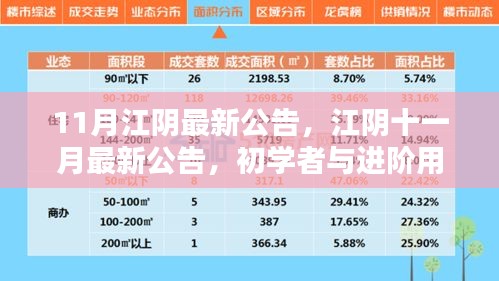 江陰十一月最新公告發(fā)布，初學(xué)者與進階用戶指南詳解