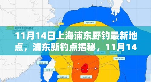 探尋自然之魚的樂園，上海浦東新釣點揭秘與垂釣盛宴（11月14日）