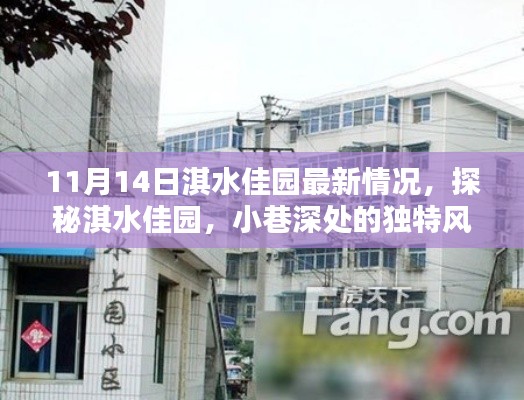 探秘淇水佳園，小巷深處的獨(dú)特風(fēng)情——最新探訪報(bào)告（11月14日）