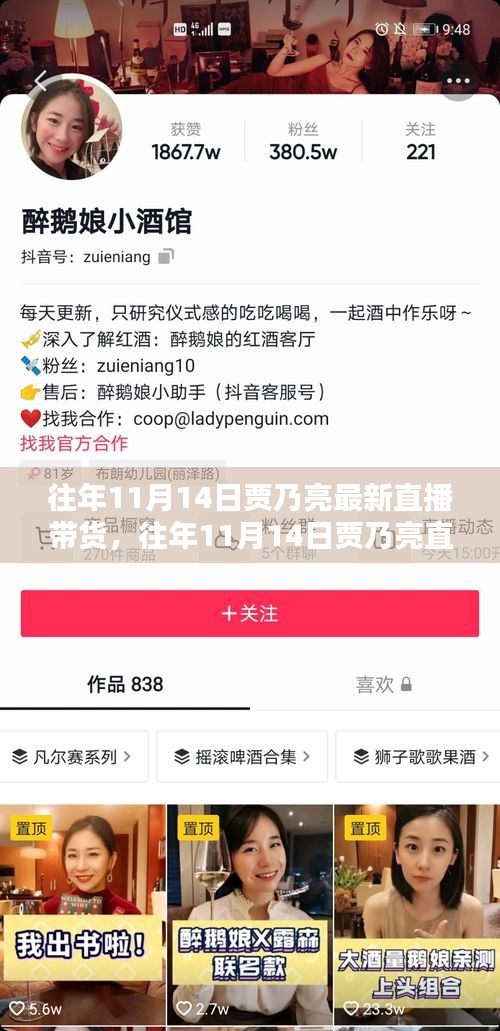賈乃亮直播帶貨回顧，全面評(píng)測(cè)與介紹，歷年雙十一直播帶貨新動(dòng)態(tài)