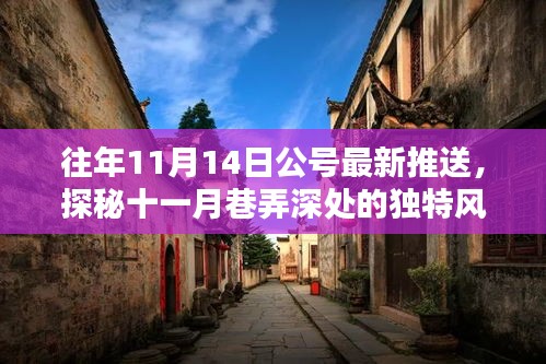 揭秘十一月巷弄深處的隱藏特色小店，獨(dú)特風(fēng)味揭曉日