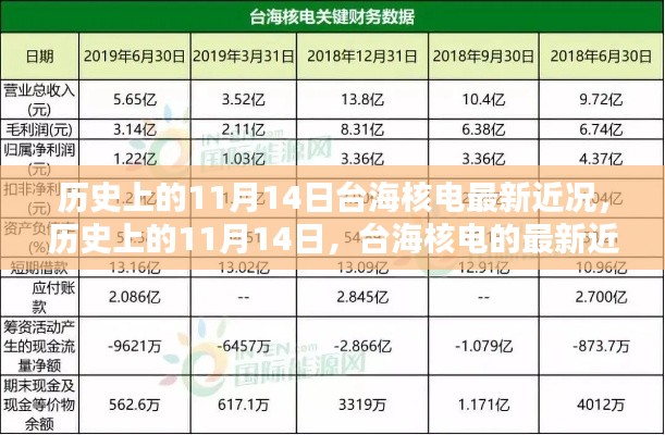 歷史上的11月14日，臺海核電的最新近況及其影響分析概覽
