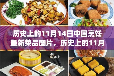 11月14日中國烹飪新菜品圖片展示，歷史菜品深度評測與介紹