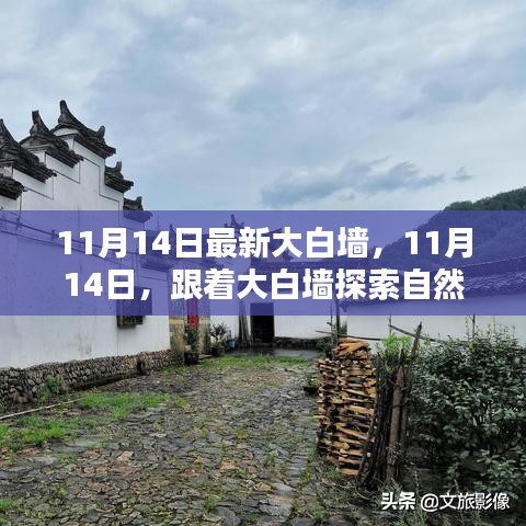 11月14日大白墻引領(lǐng)自然秘境之旅，探索內(nèi)心寧靜與平和的奧秘