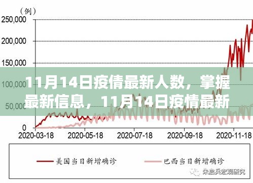 11月14日疫情最新人數(shù)查詢指南，掌握最新信息