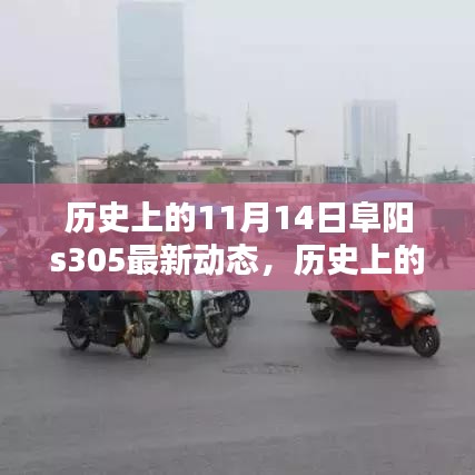 歷史上的11月14日阜陽S305最新動(dòng)態(tài)深度解析，聚焦三大要點(diǎn)揭秘最新進(jìn)展與動(dòng)態(tài)更新
