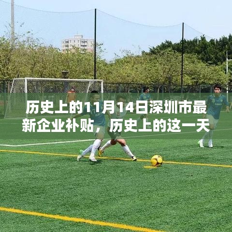 歷史上的11月14日深圳市新企業(yè)補(bǔ)貼政策回顧，影響與展望