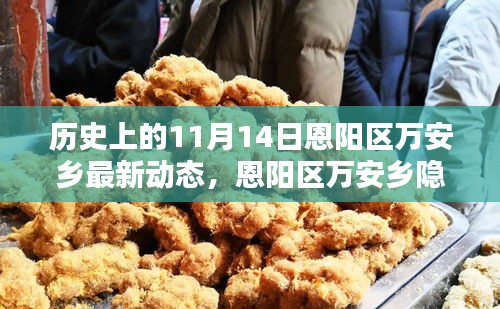 恩陽區(qū)萬安鄉(xiāng)隱秘小巷的百年風(fēng)味揭秘，最新動態(tài)報道在11月14日