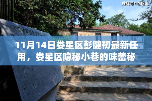 婁星區(qū)新任彭健初揭秘，小巷美食背后的故事與任命軌跡