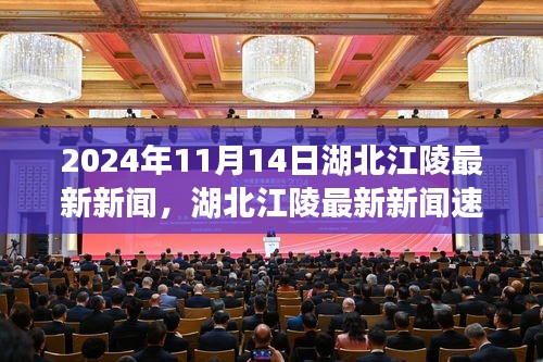 湖北江陵最新新聞速遞，聚焦三大要點（2024年11月14日）