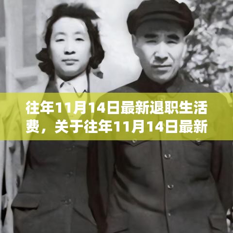 往年11月14日退職生活費調(diào)整解讀與展望，最新政策分析與生活費趨勢展望