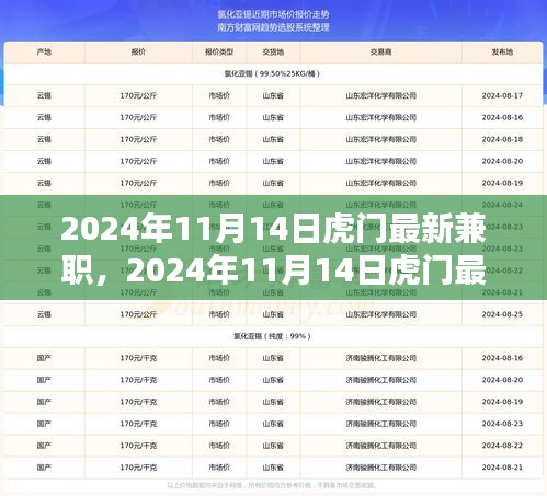 2024年11月14日虎門(mén)最新兼職，機(jī)遇與挑戰(zhàn)并存