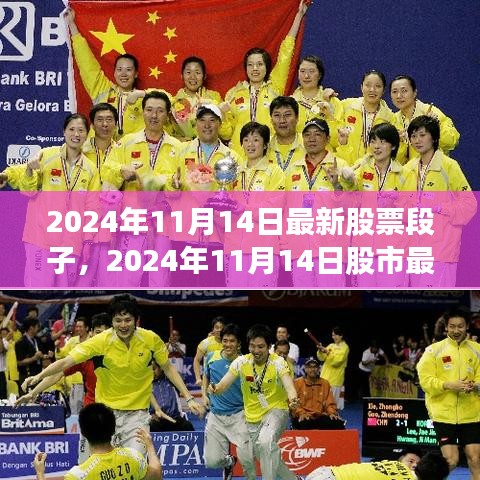 揭秘未來投資熱點(diǎn)，最新股市動(dòng)態(tài)與股票段子，2024年11月14日深度解析