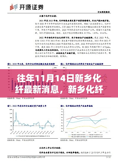 新鄉(xiāng)化纖最新動態(tài)聚焦觀點分析，歷年11月14日深度解讀