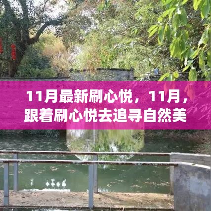 11月心悅之旅，追尋自然美景的詩(shī)意之旅