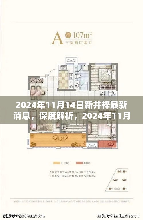 深度解析，2024年11月14日新井梓產(chǎn)品最新消息揭秘，特性、用戶體驗與目標用戶群體探討