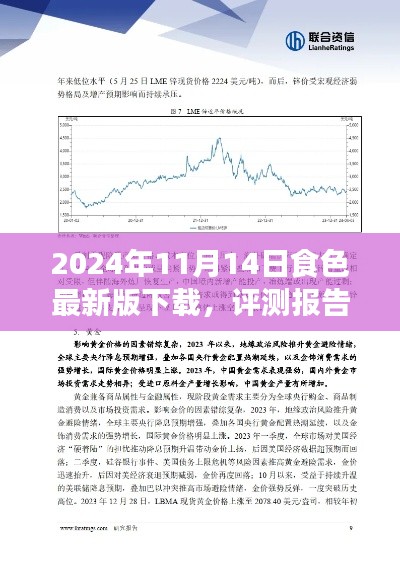 深度評測報告，2024年食色最新版下載解析