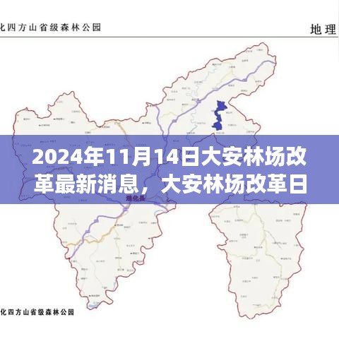大安林場改革故事會(huì)，最新消息與溫馨改革之旅（2024年11月14日）