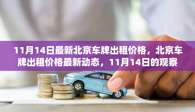 北京車牌出租價格最新動態(tài)，11月14日的觀察與解讀