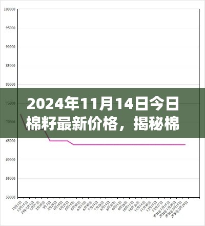 揭秘棉籽市場走勢，最新價格動態(tài)分析與預測（2024年11月14日）