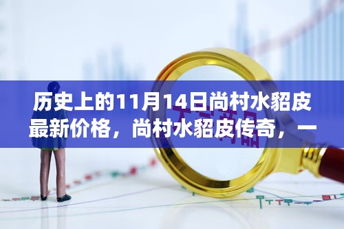 溫馨探秘之旅，尚村水貂皮傳奇與最新價(jià)格揭秘（歷史篇）