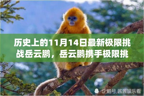 岳云鵬揭秘科技新紀元，極限挑戰(zhàn)攜手超燃高科技產(chǎn)品震撼登場（11月14日）