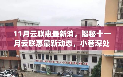 揭秘十一月云聯(lián)惠最新動態(tài)，小巷特色小店深度探索