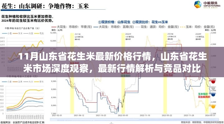 11月山東省花生米最新價格行情，山東省花生米市場深度觀察，最新行情解析與競品對比