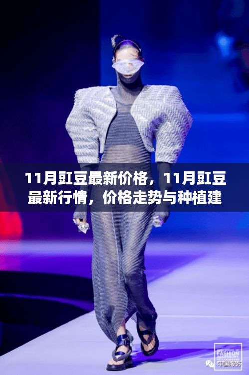11月豇豆行情分析，最新價(jià)格、走勢(shì)及種植建議