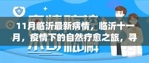 臨沂十一月疫情下的自然療愈之旅，尋找內(nèi)心的寧靜港灣