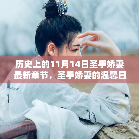 十一月十四日，圣手嬌妻的溫馨日常與輕喜劇章節(jié)