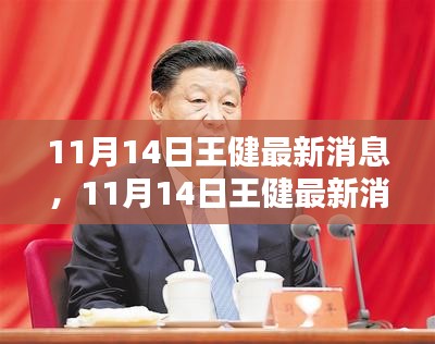 王健最新消息全面評測與介紹，11月14日更新動態(tài)揭秘！