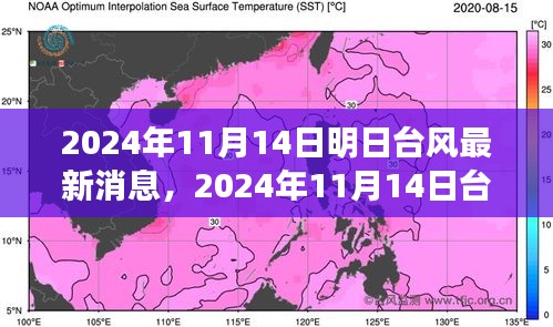 臺(tái)風(fēng)最新消息深度評(píng)測(cè)，特性、體驗(yàn)、競(jìng)品對(duì)比與用戶分析（2024年臺(tái)風(fēng)動(dòng)態(tài)）