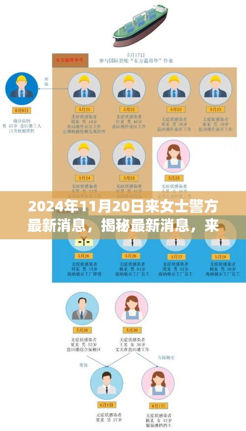 揭秘來女士案件最新進展與警方深度調(diào)查，最新消息披露于2024年11月20日
