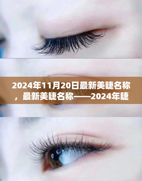 最新美睫名稱揭秘，2024年睫毛美學(xué)的革命性變革