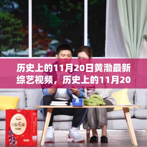 多維度視角下的觀點碰撞，黃渤最新綜藝視頻揭秘，歷史上的11月20日精彩回顧