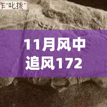 揭秘，風(fēng)中追風(fēng)最新裝備的時(shí)代地位與影響，逐風(fēng)而行，價(jià)值高達(dá)172萬(wàn)裝備重磅登場(chǎng)！