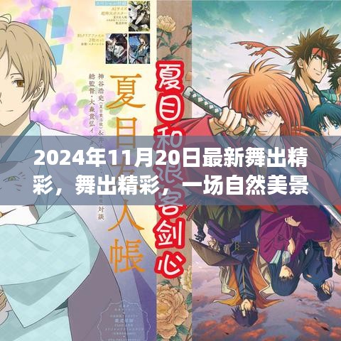 舞出精彩，自然美景的治愈之旅（2024年11月20日最新）
