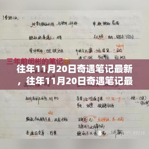 揭秘往年11月20日奇遇筆記，意想不到的旅程揭秘最新動(dòng)態(tài)