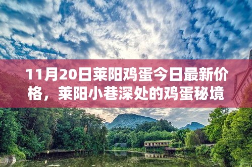 萊陽雞蛋最新價(jià)格揭秘，小巷深處的特色小店與雞蛋秘境探索