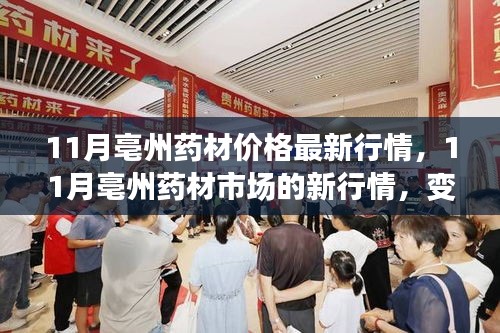 11月亳州藥材市場最新行情，變化中的學(xué)習，成就感的源泉