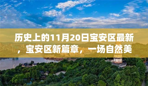 寶安區(qū)新篇章啟程，探尋自然美景之旅，溫暖陽(yáng)光下的寶安區(qū)探尋日（11月20日）