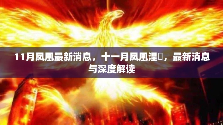 鳳凰涅槃新動(dòng)態(tài)，十一月最新消息與深度解讀