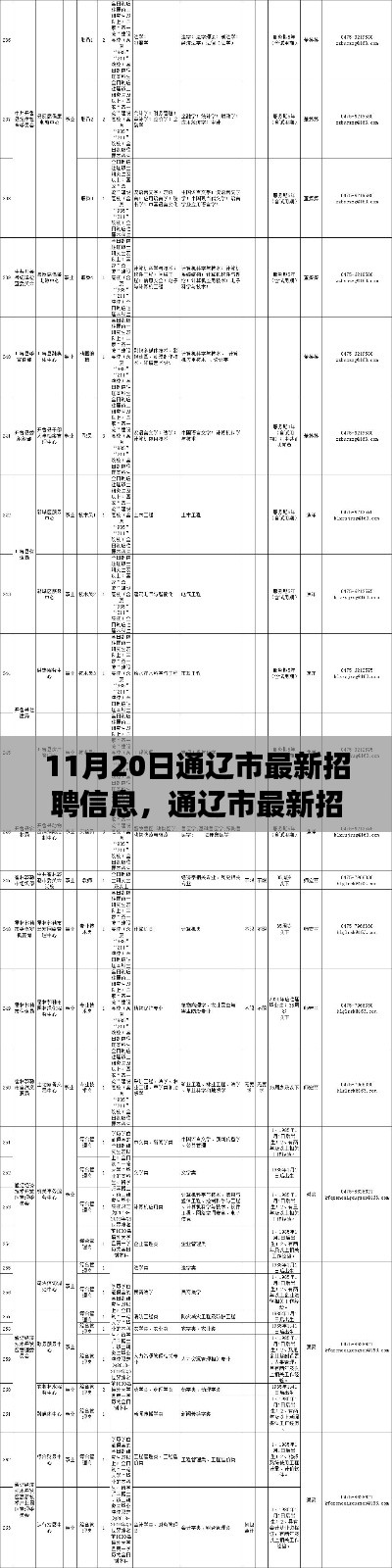 通遼市最新招聘信息概覽，職場(chǎng)人的福音（11月20日更新）