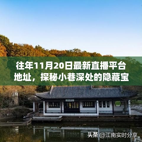 探秘小巷深處的寶藏，十一月二十日最新直播平臺(tái)獨(dú)特魅力之旅的地址分享