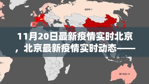 北京疫情最新動態(tài)，11月20日報告及關(guān)鍵要點解析